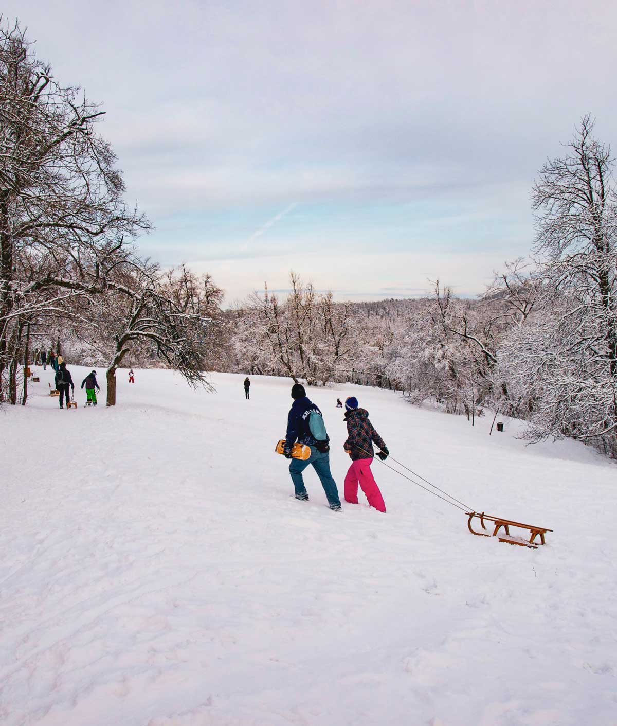 Plimbari cu sania in poiana brasov